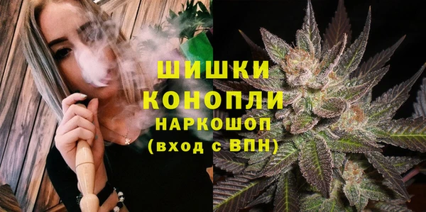 дживик Белокуриха