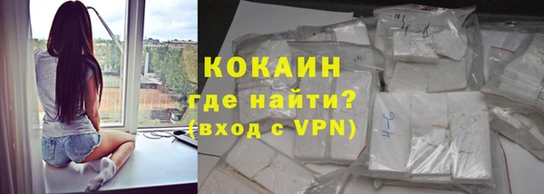 дживик Белокуриха