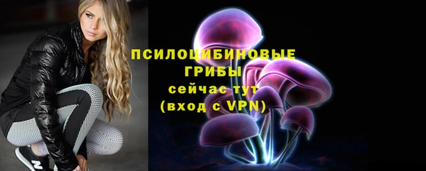 дживик Белокуриха