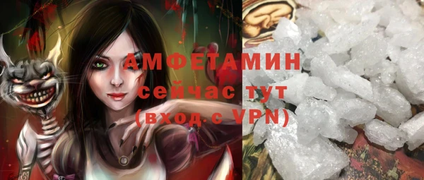 дживик Белокуриха