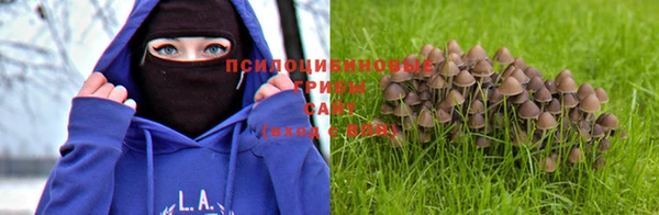 кокаин перу Беломорск